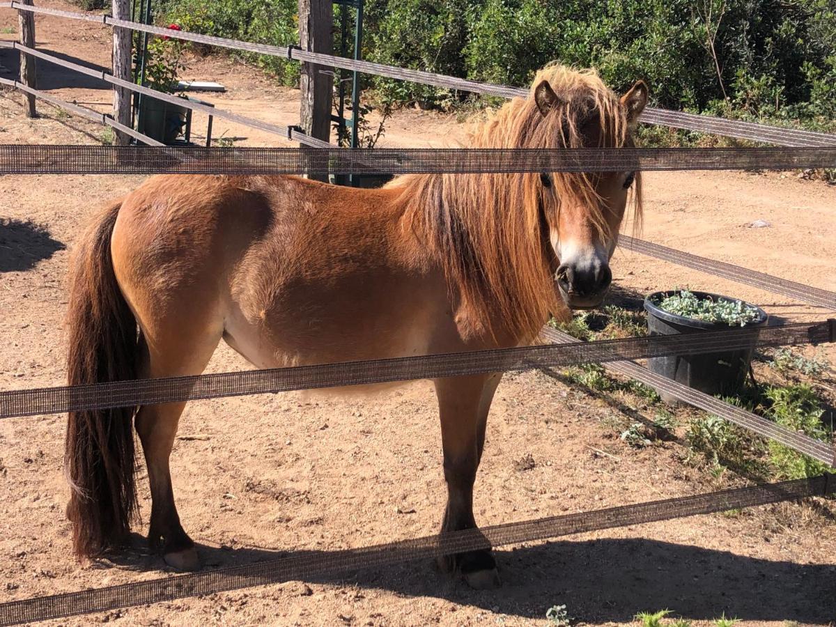 Les De Tesa Farm stay