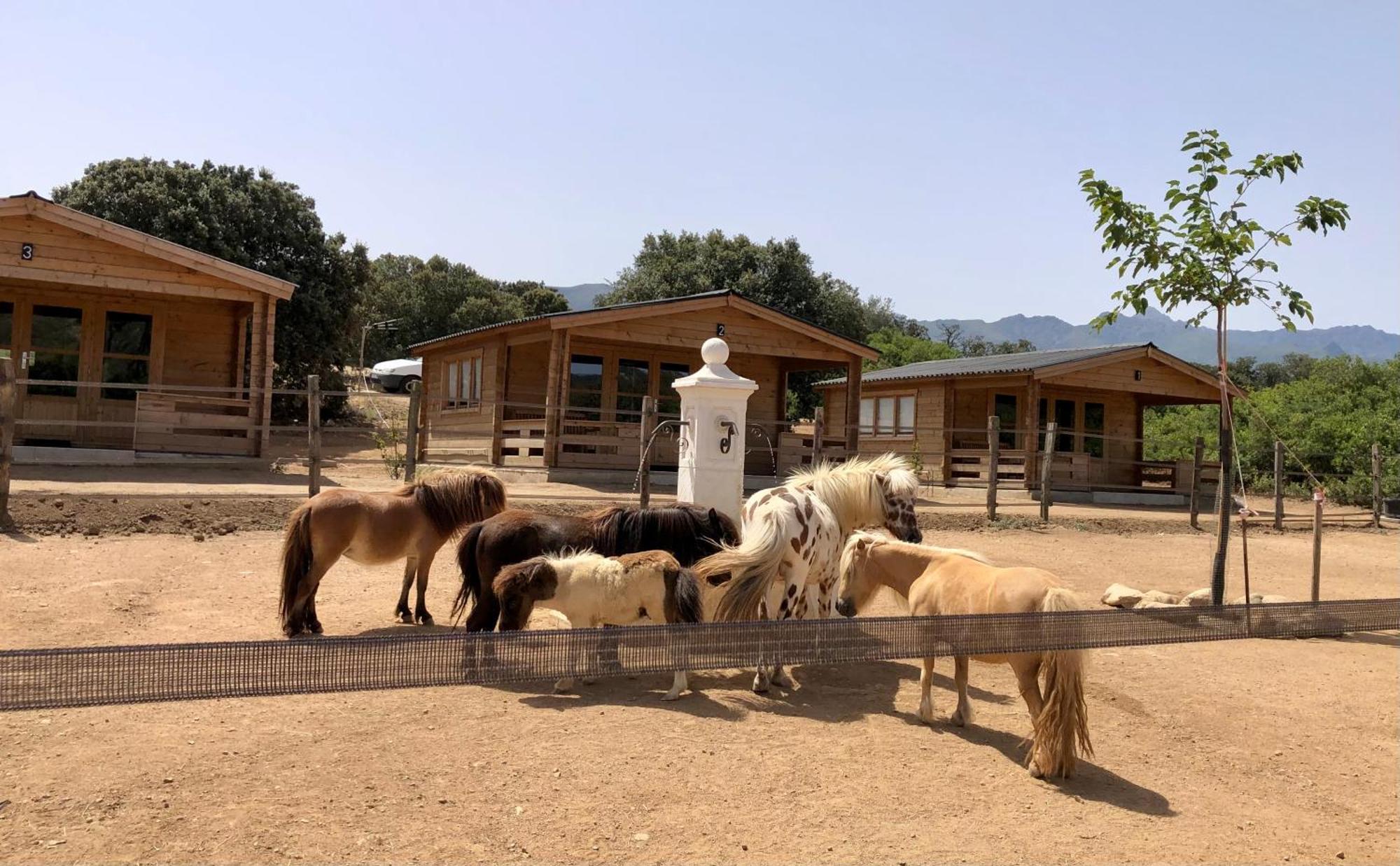 Les De Tesa Farm stay *