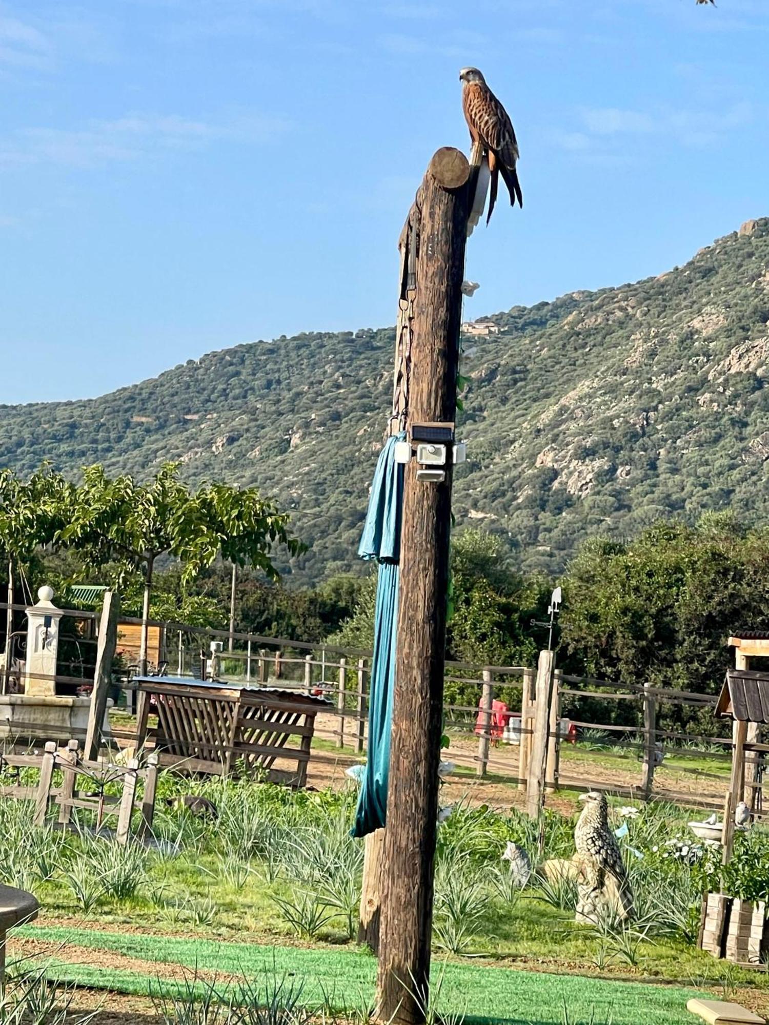 Les De Tesa